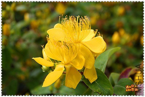 ��Ƭ 092_����.jpg