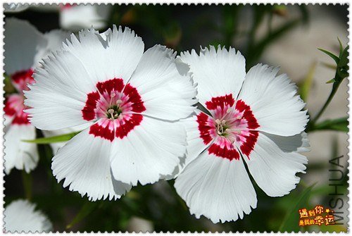 ��Ƭ 009_����.jpg