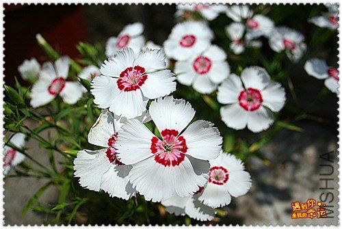 ��Ƭ 011_����.jpg