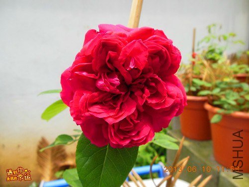 ��Ƭ 044_����.jpg