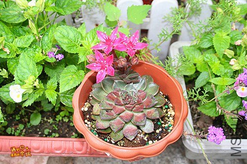 ��Ƭ 027a_����.jpg