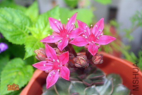 ��Ƭ 027b_����.jpg