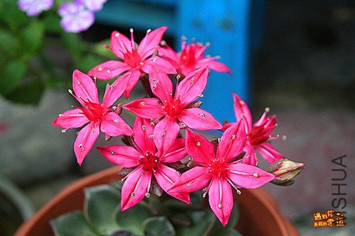 ��Ƭ 027c_����.jpg