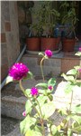 IMAG0064.jpg