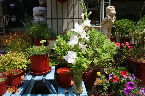 ��Ƭ 011_����.jpg