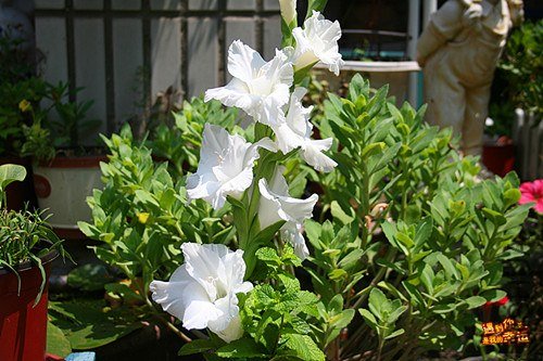 ��Ƭ 013_����.jpg