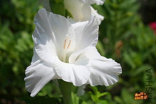 ��Ƭ 016_����.jpg