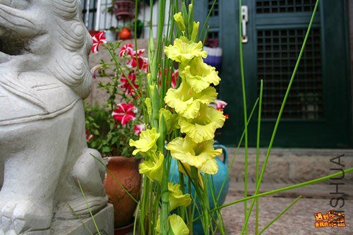 ��Ƭ 210_����.jpg