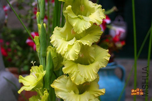 ��Ƭ 211_����.jpg