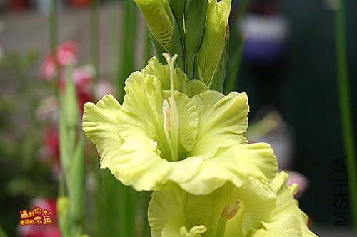 ��Ƭ 216_����.jpg