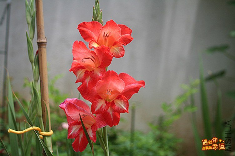 ��Ƭ 085A_����.jpg