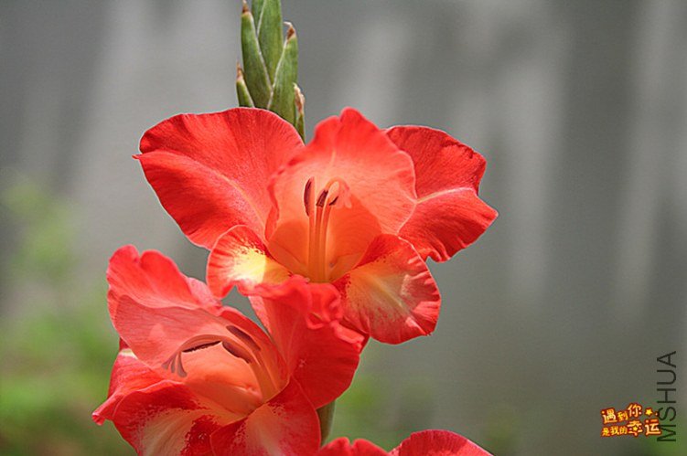 ��Ƭ 085B_����.jpg