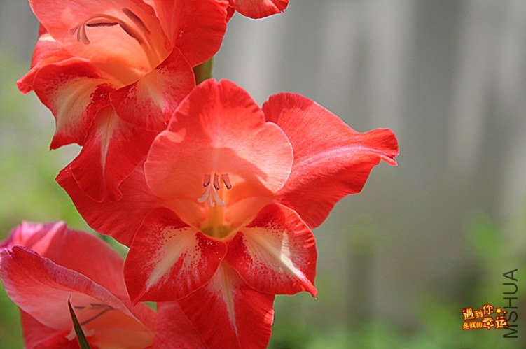 ��Ƭ 085C_����.jpg