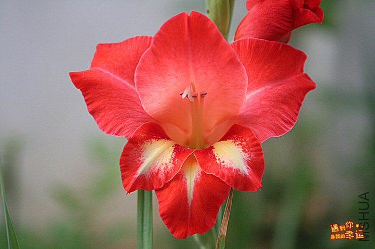 ��Ƭ 085D_����.jpg