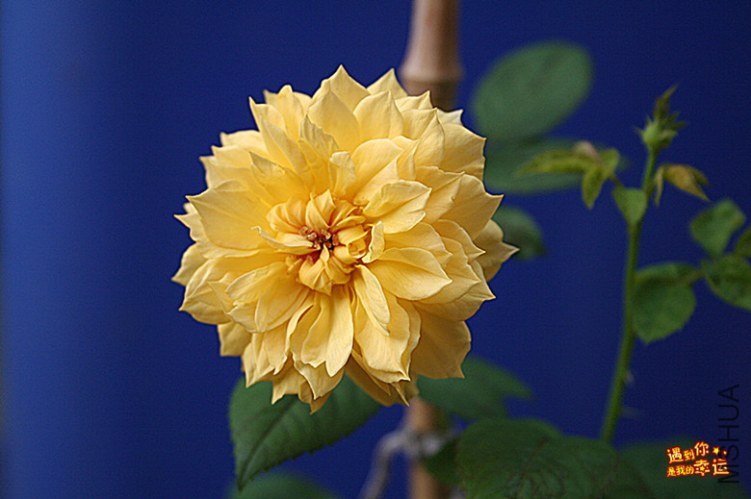 ��Ƭ 099_����.jpg