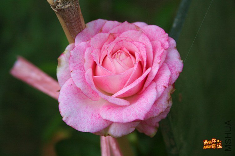 ��Ƭ 104_����.jpg