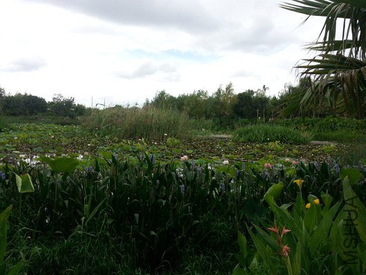 20130630_150655.jpg