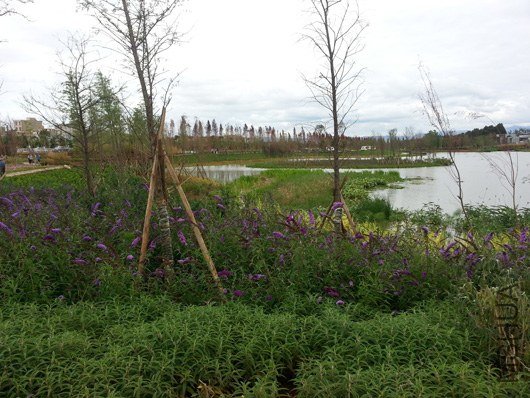 20130630_160008.jpg