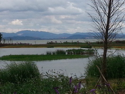 20130630_160026.jpg