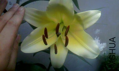 20130706_1406_0.jpg