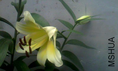 20130706_1405_2.jpg