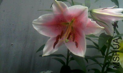 20130706_1405_1.jpg