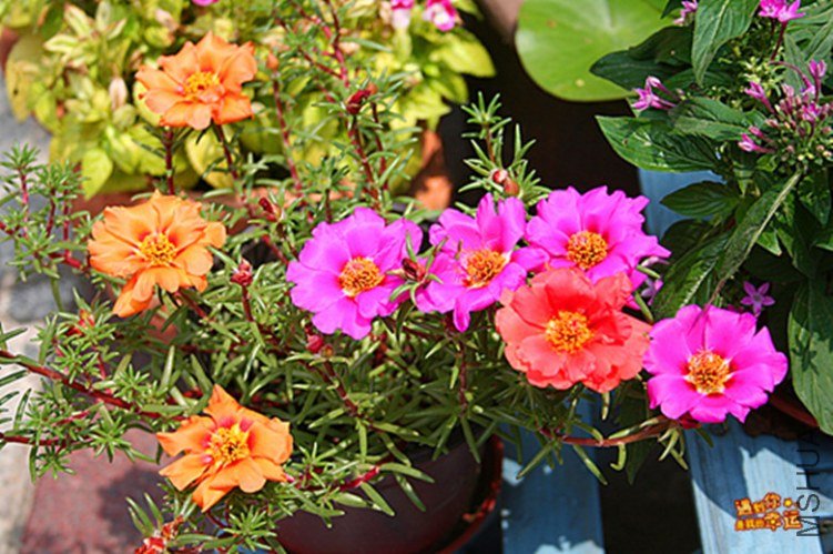 ��Ƭ 050_����.jpg