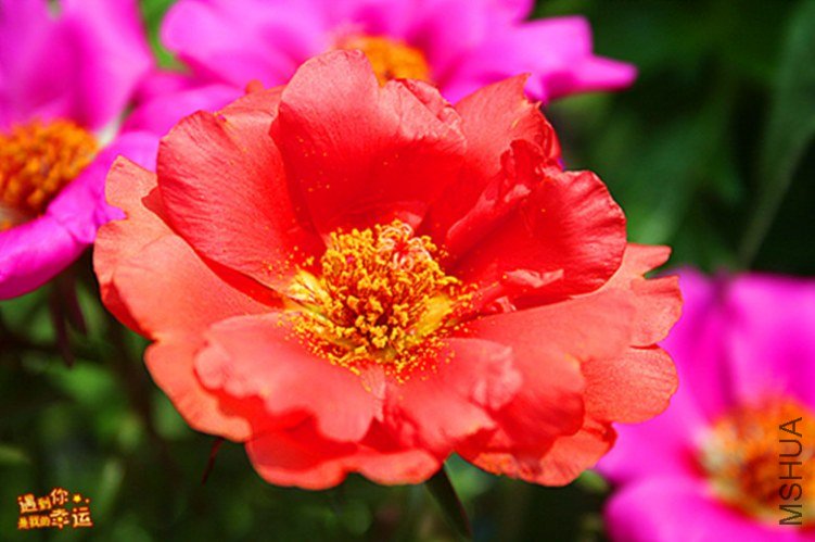 ��Ƭ 053_����.jpg