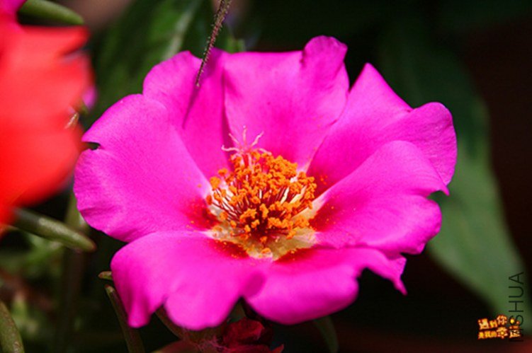 ��Ƭ 054_����.jpg