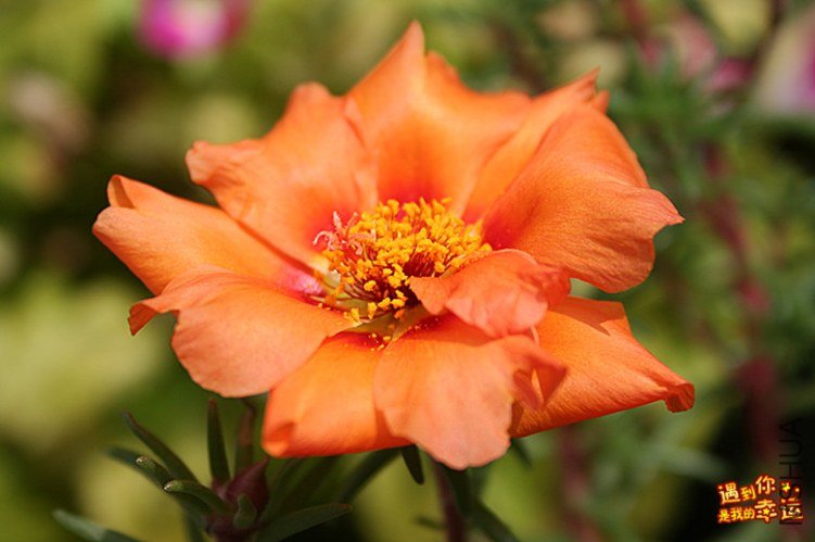 ��Ƭ 056_����.jpg