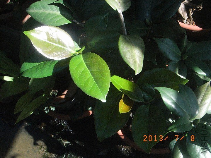 05.JPG