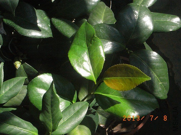 06.JPG