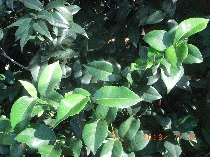09.JPG
