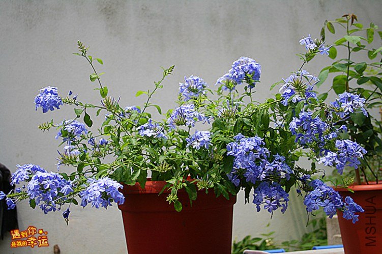 ��Ƭ 236_����.jpg