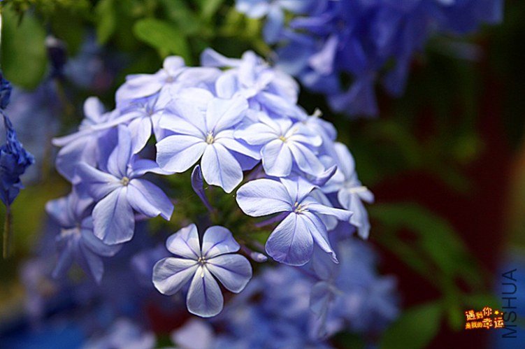 ��Ƭ 237_����.jpg