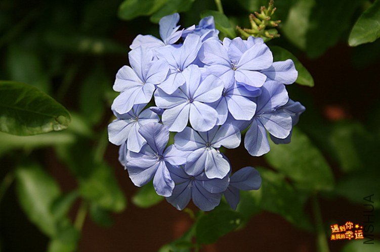 ��Ƭ 239_����.jpg