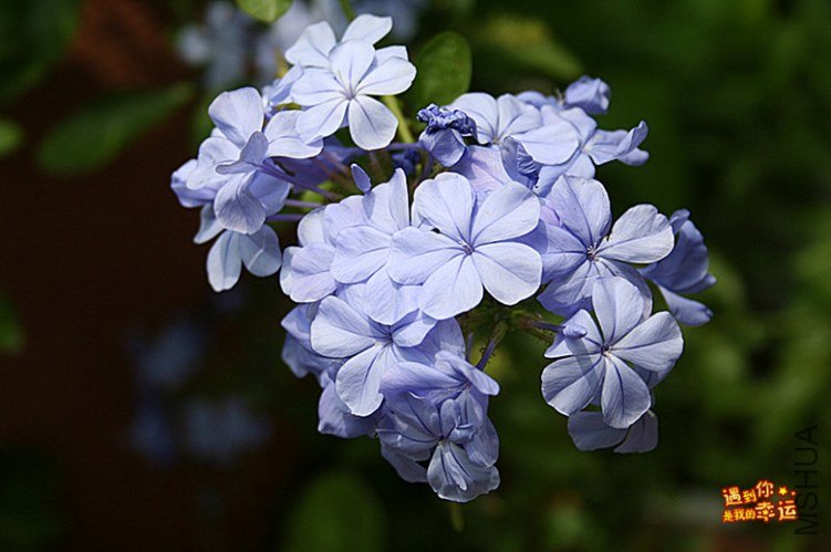 ��Ƭ 240_����.jpg