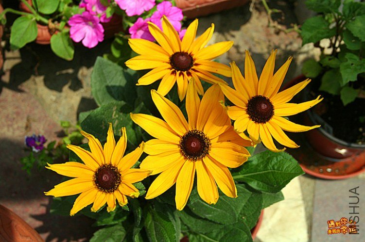 ��Ƭ 069_����.jpg