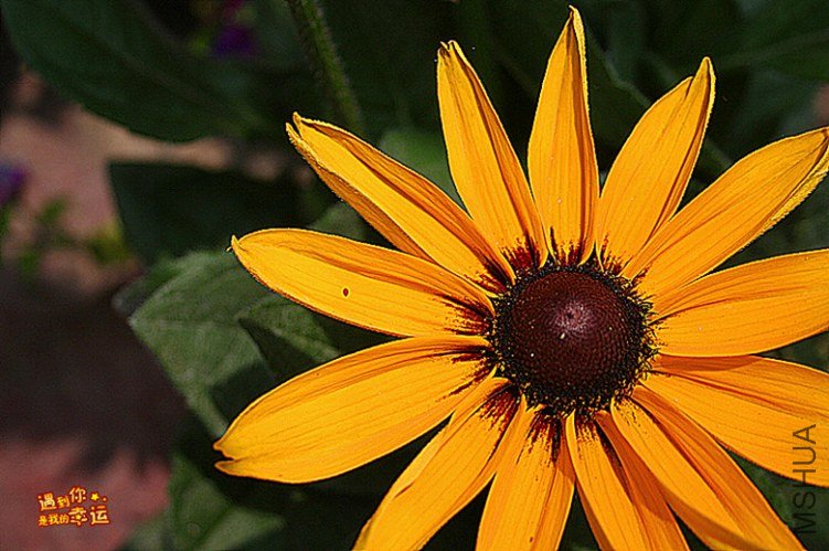 ��Ƭ 073_����.jpg