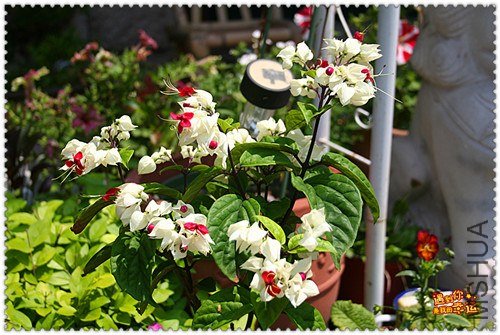 ��Ƭ 021_����.jpg