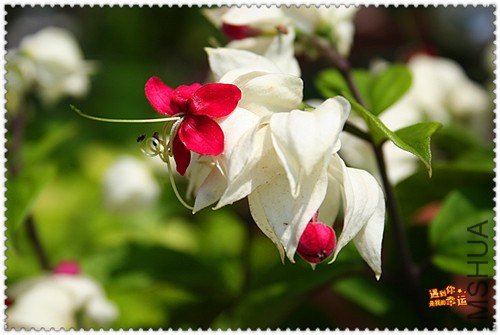 ��Ƭ 022_����.jpg