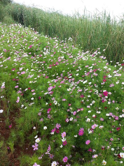 20130630_161546.jpg