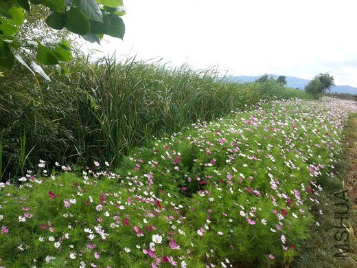 20130630_161618.jpg
