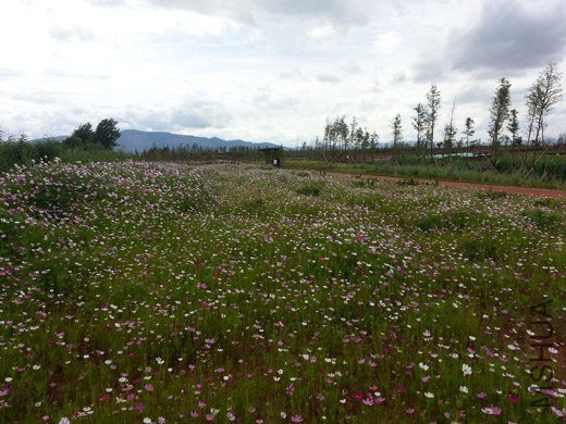 20130630_162135.jpg