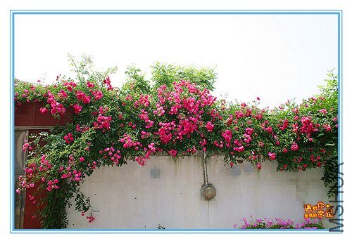 ��Ƭ 076_����.jpg