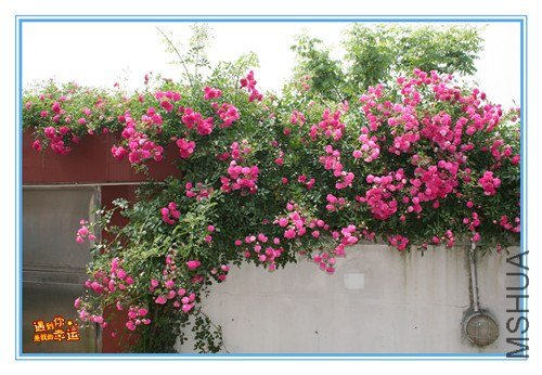 ��Ƭ 080_����.jpg