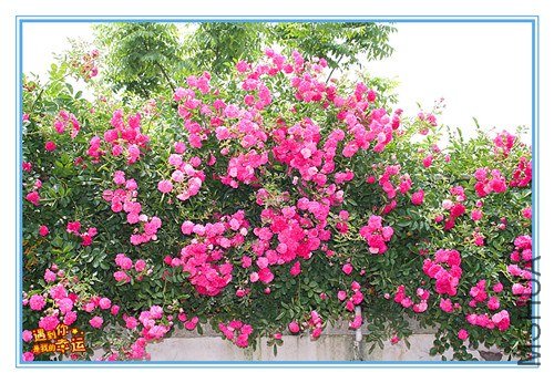 ��Ƭ 082_����.jpg