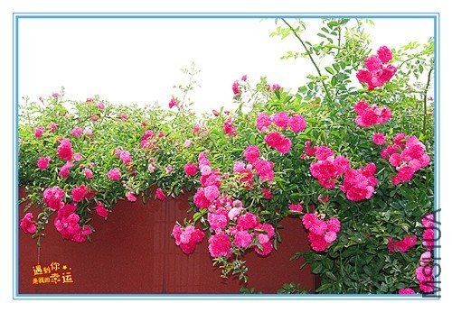 ��Ƭ 086_����.jpg