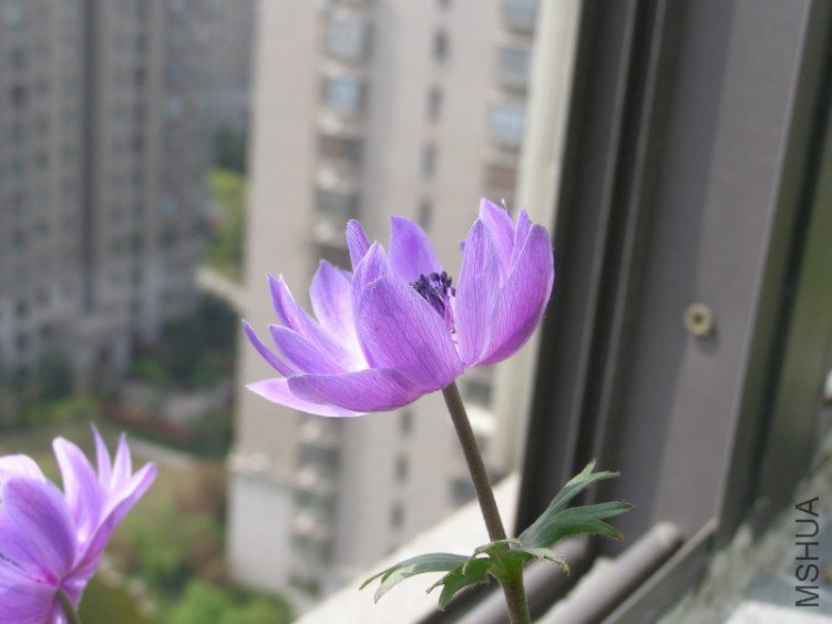 92.jpg