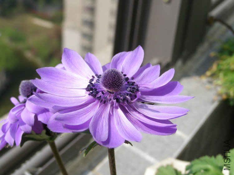 94.jpg